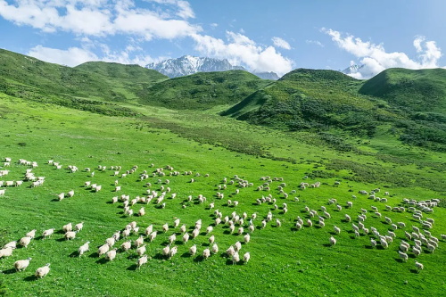 Z6×ðÁú¡¤¿Ê±(Öйú)-¹Ù·½ÍøÕ¾